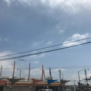 软萌兔兔酱拉珠
